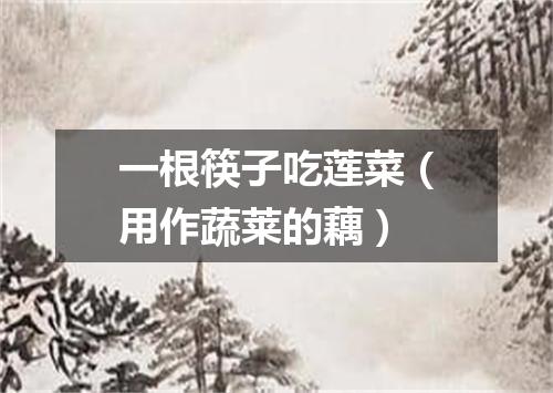 一根筷子吃莲菜（用作蔬莱的藕）