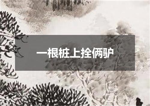 一根桩上拴俩驴