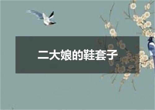 二大娘的鞋套子