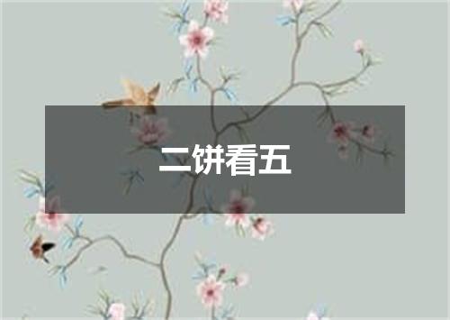 二饼看五