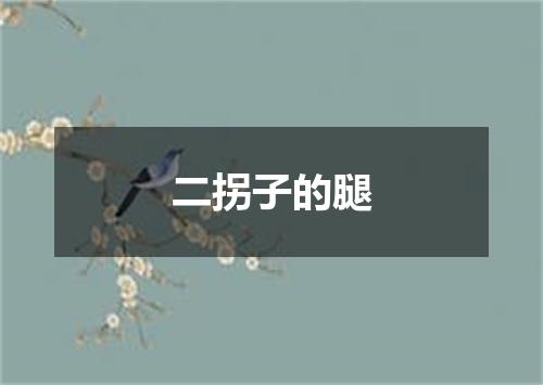 二拐子的腿