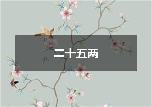 二十五两