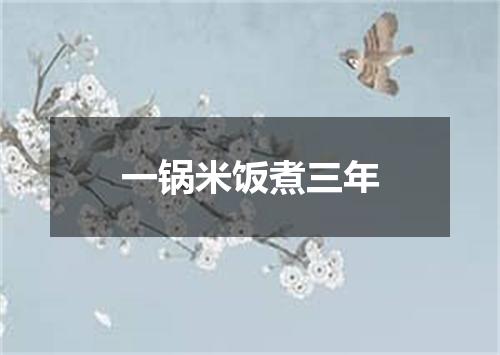 一锅米饭煮三年