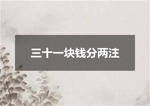 三十一块钱分两注