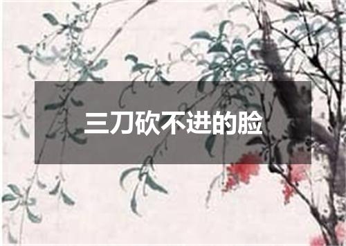 三刀砍不进的脸