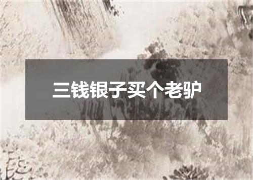 三钱银子买个老驴