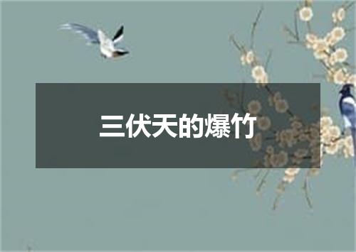 三伏天的爆竹