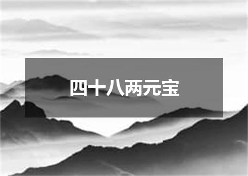 四十八两元宝
