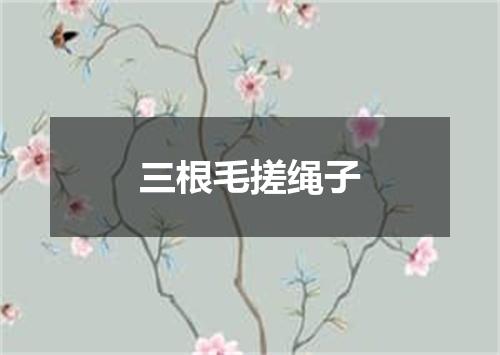 三根毛搓绳子