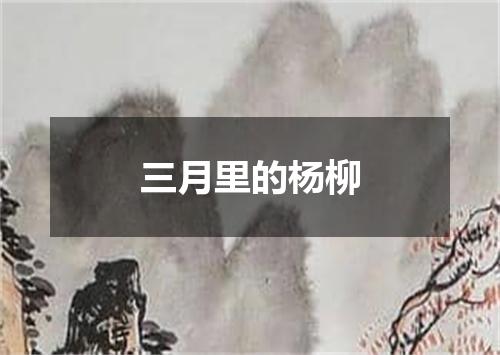 三月里的杨柳