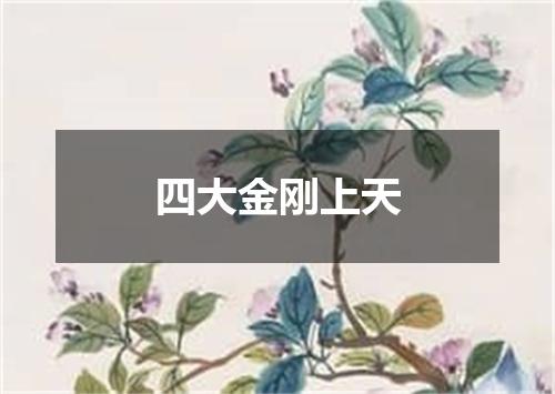 四大金刚上天