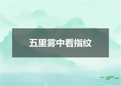 五里雾中看指纹