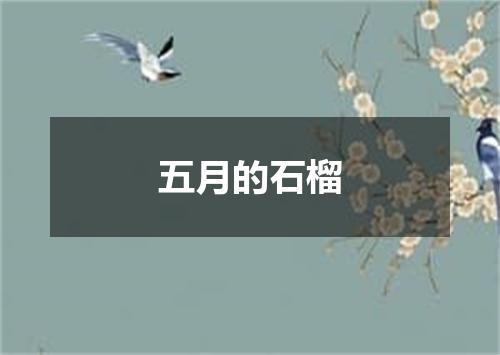 五月的石榴