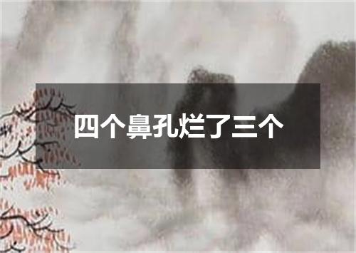 四个鼻孔烂了三个