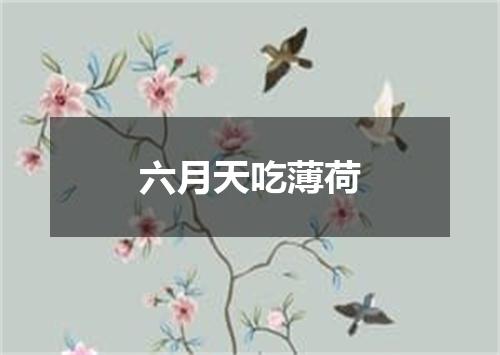 六月天吃薄荷
