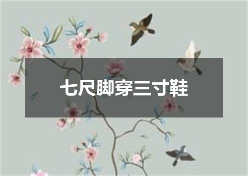 七尺脚穿三寸鞋