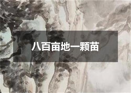 八百亩地一颗苗