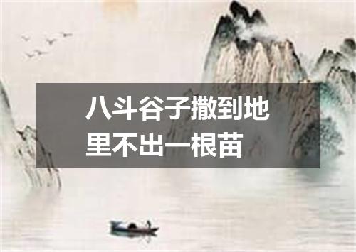 八斗谷子撒到地里不出一根苗