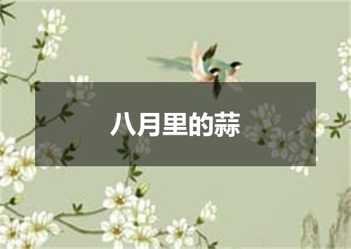 八月里的蒜
