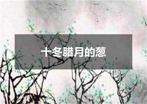 十冬腊月的葱
