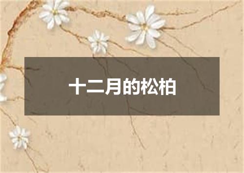 十二月的松柏