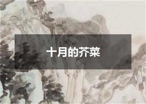 十月的芥菜