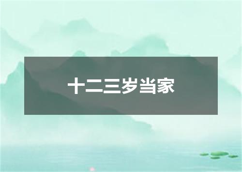 十二三岁当家
