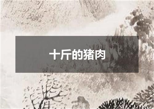 十斤的猪肉