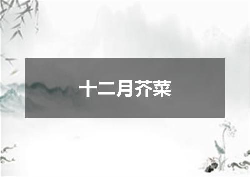 十二月芥菜