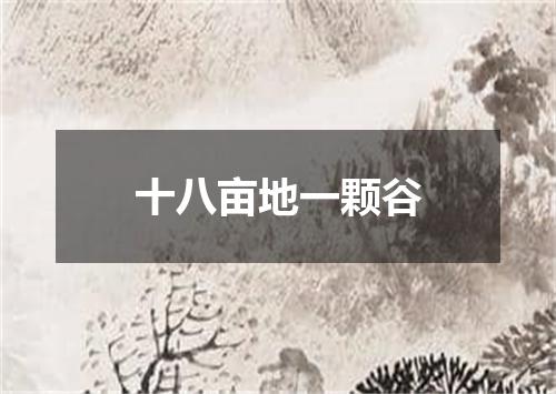 十八亩地一颗谷