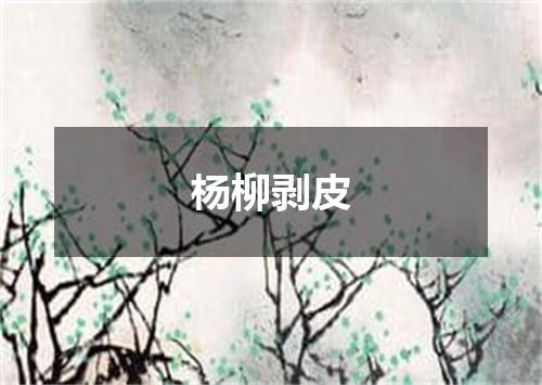 杨柳剥皮