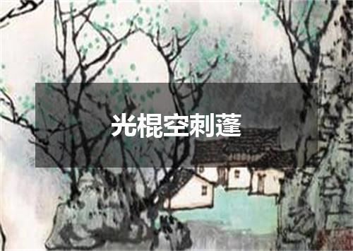 光棍空刺蓬