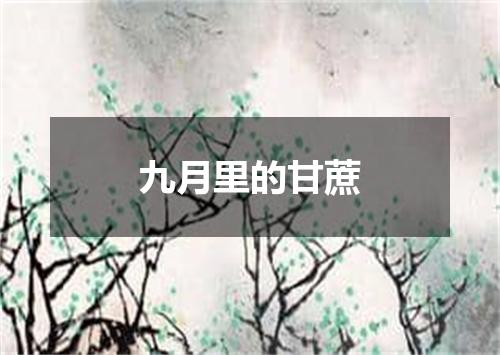 九月里的甘蔗