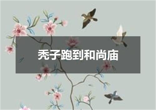 秃子跑到和尚庙