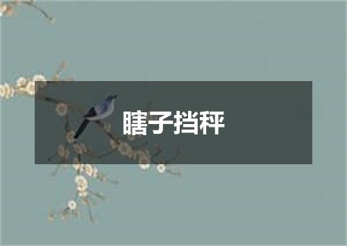 瞎子挡秤