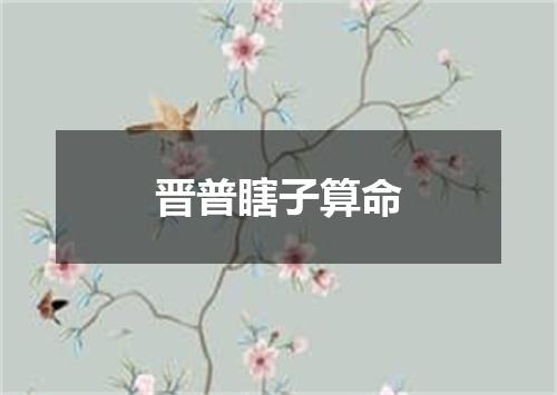 晋普瞎子算命