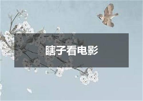 瞎子看电影