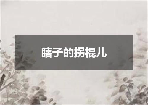 瞎子的拐棍儿
