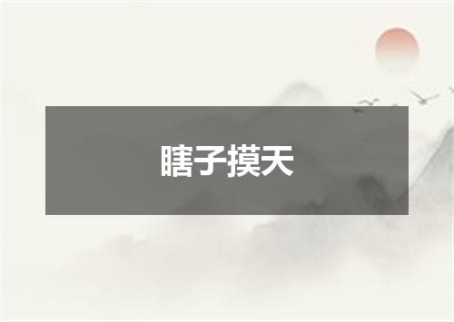 瞎子摸天