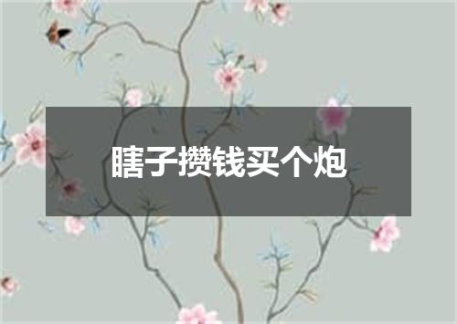 瞎子攒钱买个炮