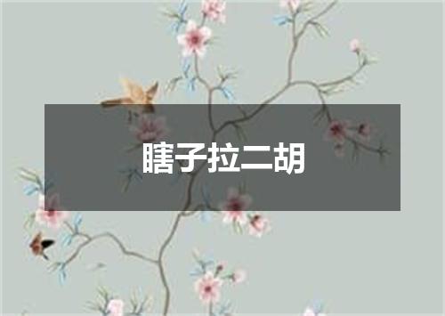 瞎子拉二胡