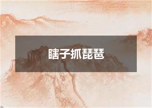 瞎子抓琵琶