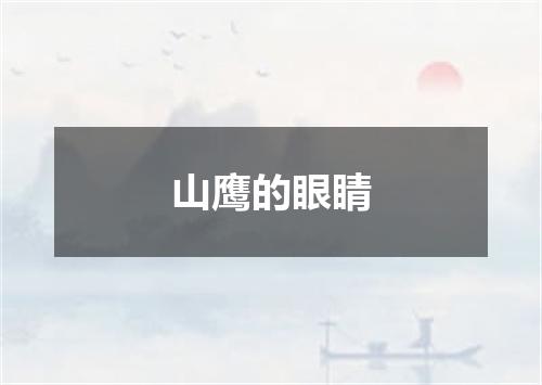山鹰的眼睛