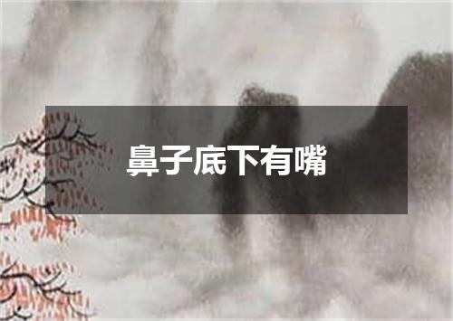 鼻子底下有嘴