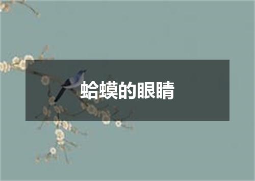 蛤蟆的眼睛