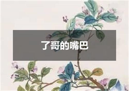 了哥的嘴巴