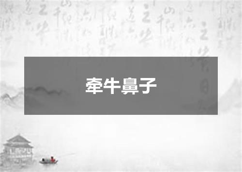牵牛鼻子