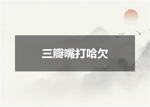 三瓣嘴打哈欠
