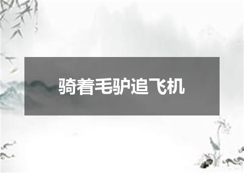 骑着毛驴追飞机