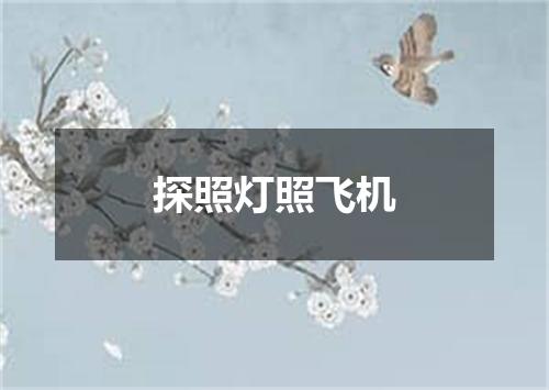 探照灯照飞机